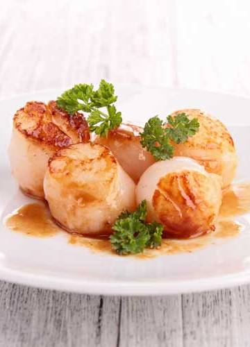 Coquilles bakken