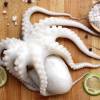 Octopus koken