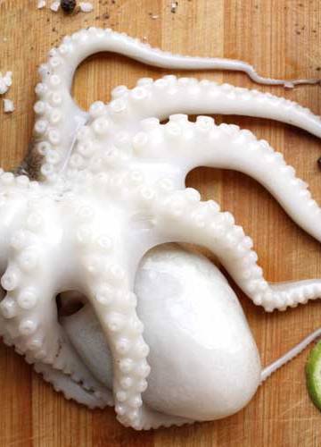 Octopus koken